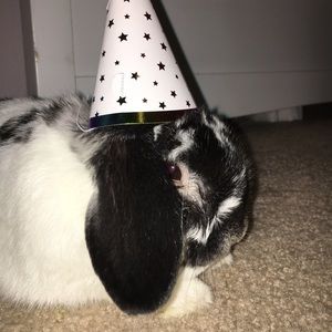 Meet your Posher, Madisyn